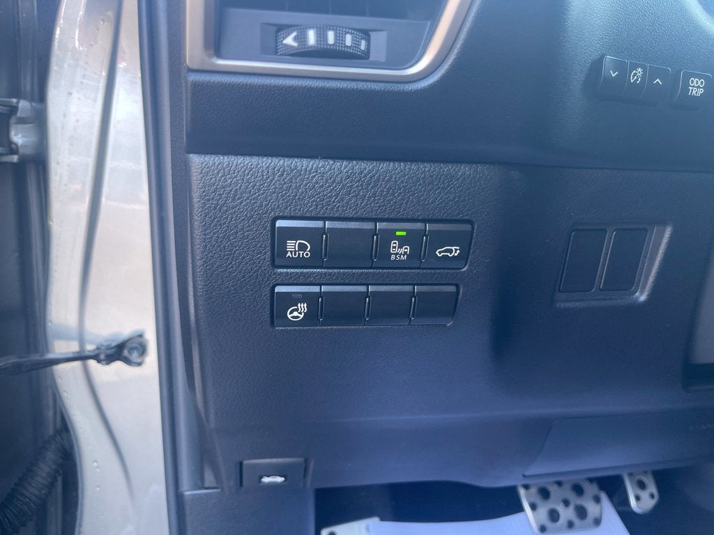 2019 Lexus NX 300 F SPORT