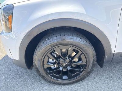2024 Kia Telluride SX-Prestige X-Pro