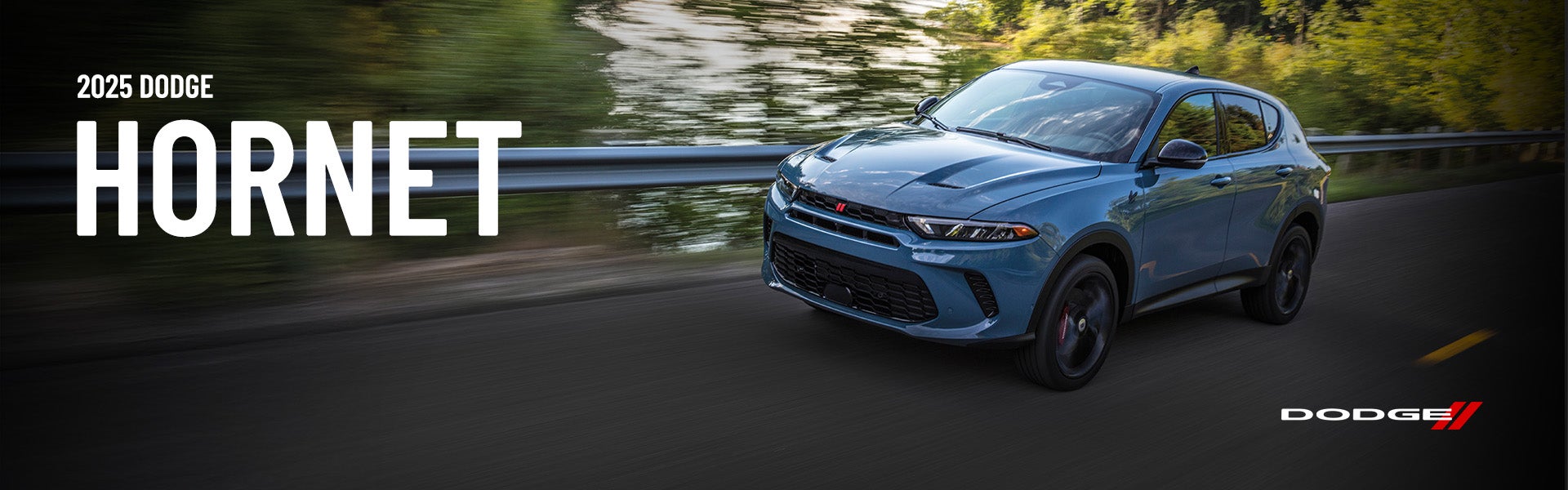 2025 Hornet